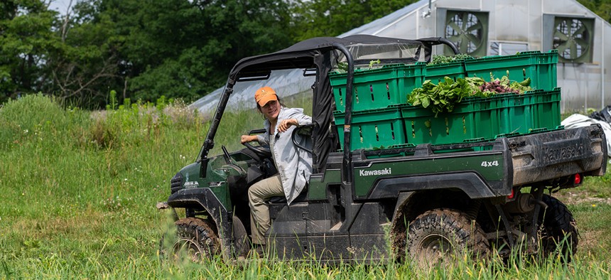 A woman hauling freshly picked vegetables drives a four-wheel vehicle back to the cleaning and sorting barn in Waverley, PA.