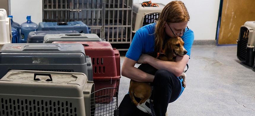 Daniel, a staff member with Homeward Trails Animal Rescue, hugs a beagle after returning from the Paw Prints Animal Hospital in Maryland.