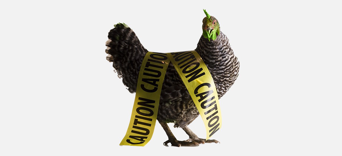 https://cdn.cityandstatepa.com/media/img/cd/2022/08/11/caution_chicken_getty_images/route-fifty-lead-image.jpg?1660239915