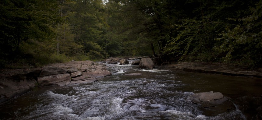 Rock Run in Pennsylvania's Loyalsock State Forest