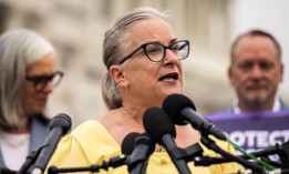 Rep. Susan Wild speaks during a news conference in honor of World IVF Day to discuss the next steps for legislation to protect access to in vitro fertilization across America on July 25, 2024 in Washington, DC.