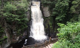 Bushkill Falls is a popular tourist destination in the Pocono Mountains.