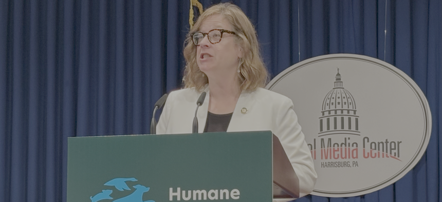 Democratic state Rep. Leanne Krueger speaks about her legislation to prohibit the sale of ivory products in Pennsylvania.