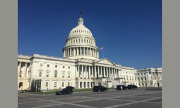 All of Pennsylvania’s congressional seats will be up for grabs in November’s midterm elections.